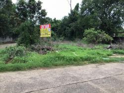 ขายที่ดินพร้อมสิ่งปลูกสร้าง 398 วา  บ้านปลาดุก  ซอยผิวรัตนา ซอยหาภูมิสุขราวัลย์  เมืองอุบลราชธานี