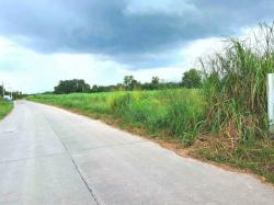 ขายที่ดินสวยราคาถูกหนองบอนแดง บนเนื้อที่ดิน 25-0-51 ไร่  (รวม 3 โฉนด)ลดพิเศษที่ดินสร้างโรงงานหนองบอนแดง