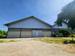 ให้เช่าโกดังโรงงานที่ดินชลบุรี ห้เช่าโกดังและคลังสินค้าสวยราคาถูก ขนาด พื้นที่  5,000 ตรม มีพื้นที่ว่างเหลือบริเวณกว้างสำหรับใช้งาน