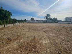 ห้เช่าที่ดินเปล่านาป่าชลบุรี ที่ดินเปล่า ถ.สุขประยูร 23 ชลบุรี เนื้อที่ 3 ไร่ 2งาน 