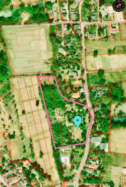 ขายด่วน! ราคาสุดคุ้ม เพียงตรว.ละ 3,500 บาท ที่สวนไม้ผลผสมผสาน สันกำแพง เนื้อที่ 8-2-10 ไร่  ทำเลดี มีศักยภาพ อยู่ในชุมชน ปลอดภัย ไร้มลพิษ