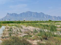ขายเท่าราคาประเมิน ที่ดินเปล่า วิวภูเขา ใกล้หาดชะอำ เนื้อทึ่ 16-1-84 ไร่ ถนนเพชรเกษม ตำบลชะอำ อำเภอชะอำ จังหวัดเพชรบุรี