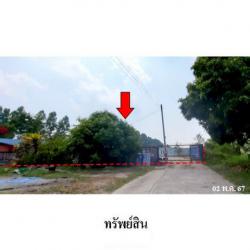 ขายบ้านเดี่ยวถนน พานทอง-หนองแช่แว่น ตำบล มาบโป่ง อำเภอ พานทอง จังหวัด ชลบุรี