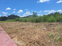 ขายที่ดินเปล่า 4-2-0 ไร่ ติด ม.รังสิต ปทุมธานี      