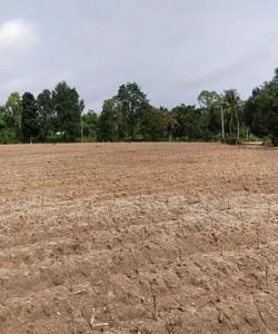 ที่ดินเปล่าแปลงสวย ราคาพิเศษ ใกล้แหล่งท่องเที่ยวฟาร์มแกะพัทยา FP-L01096 