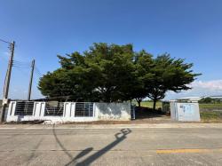 Sale พื้นที่ดิน -  15500000 บ. ไม่ไกลจาก ถนนนนทบุรี ราคา - สุดคุ้ม