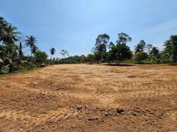 ที่ดินสวยห้วยใหญ่ พัทยา แปลงใหญ่ 1 ไร่ 2 งาน พร้อมแบบบ้านฟรี ทำเล EEC