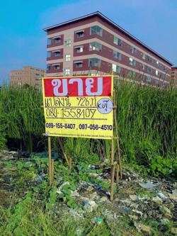 ขายด่วนที่ดินจัดสรรแล้ว  ขายรวม 726  ตร.วา ซ.สุเหร่าเขียว  ซ.โดม  บางบัวทอง   ZT801 