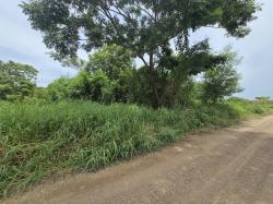 ขายที่ดินเปล่า คลองห้า ปทุมธานี ใกล้พิพิธภัณฑ์วิทยาศาสตร์ เหมาะสร้างบ้าน 100 ตร.ว 