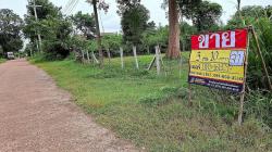 ขายที่ดิน 310 วา  โพธ์ชัย เมืองหนองคาย  ราคาถูก ทำเลดี ใจกลางเมือง  