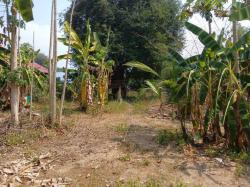 ขายที่ดิน เมืองเชียงใหม่ ตรว ล่ะ 15000 บาท สนใจติดต่อ 0811115343