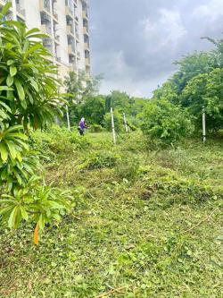 ถ.สุขุมวิท77 ศรีนครินทร์ MRTศรีนุช 800 ม. อ่อนนุช40-50 ขายที่ดิน 3ไร่ 1งาน 46ตรว. ธัญญะ พาร์ค 1.9 กม. กว้าง 6 ม. ตลาดศรีเอี่ยม 900 ม.