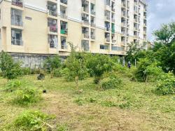 อ่อนนุช40-50 ขายที่ดิน 3ไร่ 1งาน 48ตรว.ถ.สุขุมวิท77 ศรีนครินทร์ MRTศรีนุช 800 ม.  ธัญญะ พาร์ค 1.9 กม. กว้าง 6 ม. ตลาดศรีเอี่ยม 900 ม.