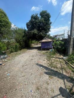 ขายที่ดินพร้อมสิ่งปลูกสร้าง กิจการห้องแถว บึง ศรีราชา ชลบุรี FP-L01255 