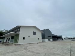 ให้เช่า โกดัง 3 หลัง  2,645 ตรม. ที่ดิน  5 ไร่ 2 งาน แสมดำซอย 5   พระราม 2