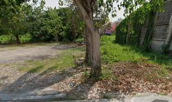 ขายด่วน แปลงสี่เหลี่ยมสวย ทำเลทอง บางแค 14 เหมาะสร้างบ้านหรือลงทุน ราคาดีที่สุดในย่านนี้ - ghd000743