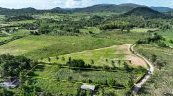 ขายที่ดินวิวเขา ทำเลบ้านโค้งดารา ศรีราชา ชลบุรี ขายที่ดิน ใกล้วัดสวนสันติธรรมหลวงพ่อปราโมทย์ 3 ไร่ 68 ตรว. ขายไร่ละ 2,500,000 ล้านบาท