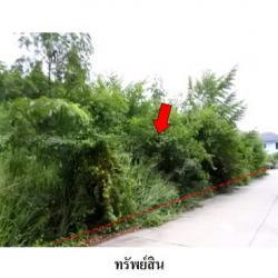 ขายที่ดินว่างเปล่าโครงการ สวนวลีแลนด์ 4 ถ.สายบางละมุง-ระยอง ทับมา เมืองระยอง ระยอง