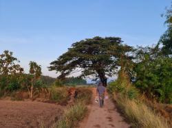 มูลค่าทวีเพิ่มพูนทรัพย์ในดิน ที่ติดแม่น้ำโขง ต.กุดบง อ.โพนพิสัย จ.หนองคาย  หลังติดแม่น้ำโขง ไร่ละ 2ล้านบาท โทร 096-882-1857