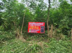 พื้นที่ดิน - 1300000 thb  102 ตร.ว. 0 Ngan 0 ไร่ ใกล้ ตลาดไท วัดธรรมกาย ร้านพี่ยาคนรุม เข้าออกได้หลายทาง ถมแล้ว