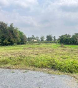 ที่ดินถมแล้ว 193 ตร.ว. ในหมู่บ้านพูลวิลล่า หลังปั๊ม ปตท. สันผักหวาน  พร้อมปลูกบ้านหรือสร้างพูลวิลล่าได้ทันที