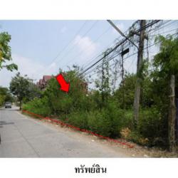 ขายที่ดินว่างเปล่า ถนน เลียบคลองซอยที่ 6 ตำบล ชะแมบ อำเภอ วังน้อย จังหวัด พระนครศรีอยุธยา