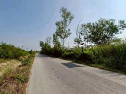 ที่ดิน ทำเลทอง ติดถนน 3 ด้าน เข้าถึงง่าย บวกค้าง สันกำแพง 