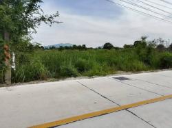 ขายที่ดินหนองตำลึงชลบุรี ที่ดินหนองตำลึง 6 ไร่ติดถนนคอนกรีต 