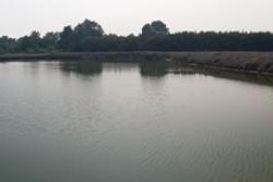 ขายที่ดินว่างเปล่ามือสอง  เขตบางขุนเทียน กรุงเทพมหานคร