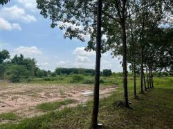 ขายที่ดิน 42ไร่ 8ล้านบาท โฉนดครุฑเขียว นส3ก. ถนนเข้าออก ต.หนองพันทา อ.โซ่พิศัย บึงกาฬ