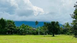 สวนผลไม้วิวเขา ติดลำธารน้ำ ใกล้เขาใหญ่ น้ำไฟพร้อม 1ไร่กว่า อ.ปากพลี นครนายก T.o86-3ol-6l6l