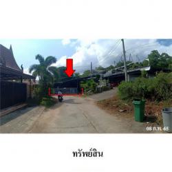 ขายบ้านเดี่ยว ถนน สายรอบเกาะสมุย (ทล.4169) ตำบล บ่อผุด อำเภอ เกาะสมุย จังหวัด สุราษฎร์ธานี