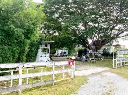 ที่ดินกิจการรีสอร์ท 356 ตร.ว. ต. ไชยสถาน อ.สารภี จ.เชียงใหม่