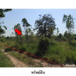 ขายที่ดินว่างเปล่า ถนน สายชัยภูมิ-ตาดโตน (ทล.2051) ตำบล นาฝาย อำเภอ เมืองชัยภูมิ จังหวัด ชัยภูมิ