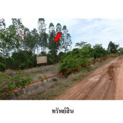 ขายที่ดินว่างเปล่า ถนน สายบ้านยางบ่า-โคกสูง (ชย.4077) ตำบล โคกสูง อำเภอ เมืองชัยภูมิ จังหวัด ชัยภูมิ