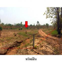 ขายที่ดินว่างเปล่า ถนน สายชัยภูมิ-หนองบัวแดง (ทล.2159) ตำบล นาฝาย อำเภอ เมืองชัยภูมิ จังหวัด ชัยภูมิ