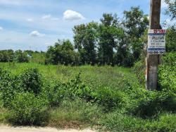พื้นที่ดิน -  100 ตร.ว. 1000000 บ. ใกล้กับ วัดธรรมกาย ตลาดไท สะอาดปลอดภัย ปทุมธานี   