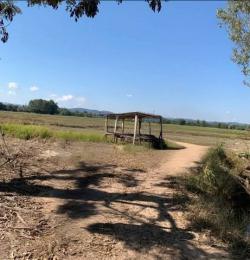 ขายที่ดินเปล่า ราคาถูกใกล้หมู่บ้านสันติธรรม อำเภอพญาเม็งราย จังหวัดเชียงราย เนื้อที่ 11 ไร่ 36 ตารางวา