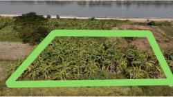     ขายที่ดินติดแม่น้ำโขงหน้ากว้างสวย ในเมืองหนองคาย