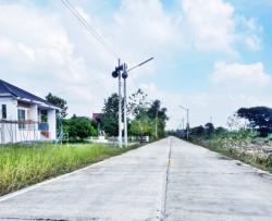 ที่ดิน - ทำเลดีราคาเด่น ติดคอนกรีต ใกล้ชุมชน ถูกมาก