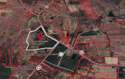 ที่ดินแปลงใหญ่ อำเภอเมืองหนองคาย  58 ไร่ 2 งาน 93 ตารางวา