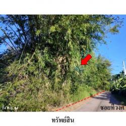 ขายที่ดินว่างเปล่า ถนน กลิ่นจันทร์ ตำบล สามแยก อำเภอ เลิงนกทา จังหวัด ยโสธร