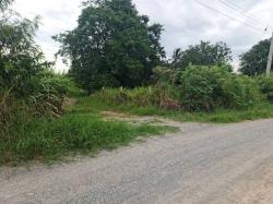 รวมบ้านที่ดินดีงามเพื่อคุณ ที่ปากช่อง 2ไร่- 8ไร่ โฉนด ต.วังไทร อ.ปากช่อง จ.นครราชสีมา ไร่ละ  2.9 ลบ.สูงจากระดับน้ำทะเลมาก น้ำไฟพร้อม