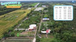 ขายที่ดินคลอง 10 กม.7 เนื้อที่เริ่มต้นแปลงละ 120 ตารางวา  