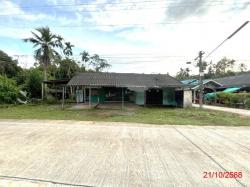 ขาย บ้านเดี่ยว สุราษฎร์ธานี  อำเภอ ชัยบุรี จังหวัด สุราษฎร์ธานี