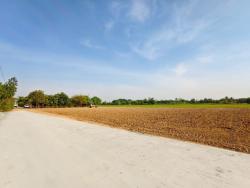 พื้นที่ดิน - 100 ตร.วา  ใกล้กับ เซเว่น  มอเตอร์เวย์ ราคาจับต้องได้ ปทุมธานี   