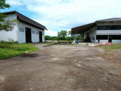 ให้เช่าโกดังบางละมุงชลบุรี ให้เช่าโรงงาน/โกดัง ที่ดินขนาด 6-2-0 ไร่ สามารถขออนุญาต รง.4 (105),(106) ได้