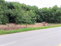 ขายสวนยาง 3.1ไร่ 60 ตรว ติดถนนสายหลัก ทำเลดี อำเภอขุนตาล จังหวัดเชียงราย 