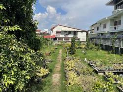 ขายที่ดิน 209 ตร.ว. สุขุมวิท77 อ่อนนุช 14 พื้นที่สีส้ม ซอยกว้าง เหมาะสร้างบ้าน สำนักงาน หรือธุรกิจ คาเฟ่ ร้านอาหาร สปา ใกล้ People Park