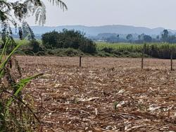 คุ้มค่าน่าลงทุนทรัพย์ในดิน ที่ปากช่อง 2ไร่- 8ไร่ โฉนด ต.วังไทร อ.ปากช่อง จ.นครราชสีมา ไร่ละ  2.9 ลบ.สูงจากระดับน้ำทะเลมาก น้ำไฟพร้อม